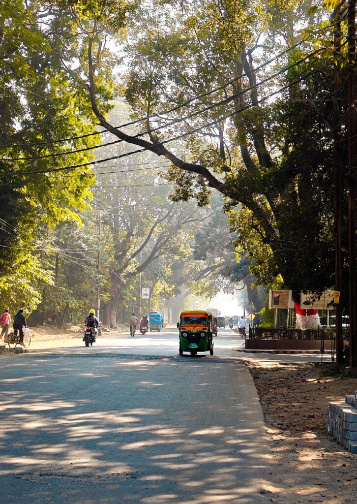 Street scene in India featuring an auto rickshaw, motorcycles, and tall trees under daylight.